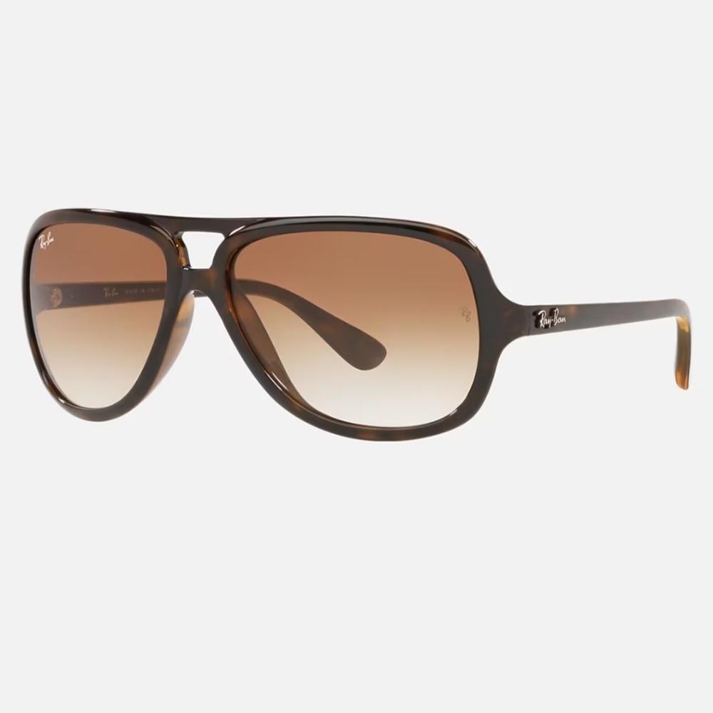 Ray-Ban Brown Gradient Sunglasses